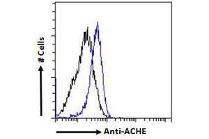 Flow Cytometry (FACS) image for anti-Acetylcholinesterase (AChE) (C-Term) antibody (ABIN185357)