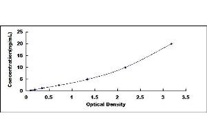 Typical standard curve (CPT2 ELISA 试剂盒)