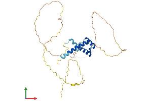 AlphaFold protein structure predicition of Human Recombinant HOXA11 Protein, UniprotID P31270