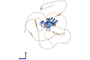 Protein Structure (PS) image for T-Box 4 (TBX4) (AA 1-545) protein (His tag) (ABIN7544330)