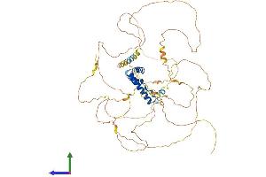 AlphaFold protein structure predicition of Mouse Recombinant Tcf7l1 Protein, UniprotID Q9Z1J1
