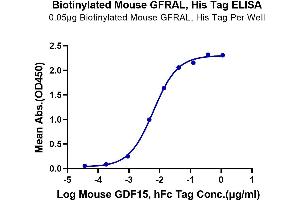 Immobilized Biotinylated Mouse GFRAL, His Tag at 0. (GFRAL Protein (AA 20-350) (His-Avi Tag,Biotin))