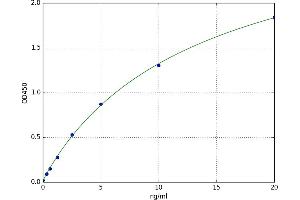 A typical standard curve (PRKACB ELISA 试剂盒)