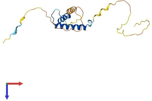 ID4 Protein (AA 1-161) (His tag)