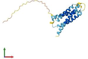 Protein Structure (PS) image for CKLF-Like MARVEL Transmembrane Domain Containing 8 (CMTM8) (AA 1-173) protein (His tag) (ABIN7546608)