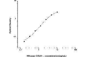 Typical standard curve (COL6A1 ELISA 试剂盒)