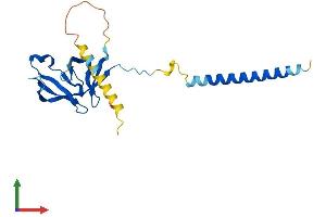 Protein Structure (PS) image for MIS18 Kinetochore Protein Homolog A (MIS18A) (AA 1-204) protein (His tag) (ABIN7560791)