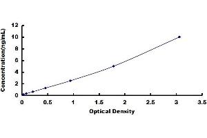 Ribosomal Protein, Large, P2 (RPLP2) ELISA Kit
