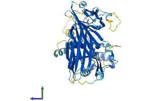AlphaFold protein structure predicition of Mouse Recombinant Ap5m1 Protein, UniprotID Q8BJ63