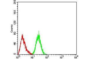 Flow cytometric analysis of Hela cells using DDX5 mouse mAb (green) and negative control (red). (DDX5 抗体  (AA 475-614))