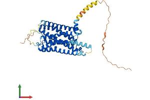 Protein Structure (PS) image for Histamine Receptor H2 (HRH2) (AA 1-359) protein (His tag) (ABIN7548406)