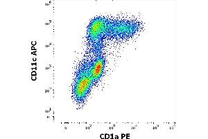 Flow cytometry multicolor surface staining of human stimulated (GM-CSF + IL-4) peripheral blood monocytes stained using anti-human CD1a (HI149) PE antibody (20 μL reagent per milion cells in 100 μL of cell suspension) and anti-human CD11c (BU15) APC antibody (10 μL reagent per milion cells in 100 μL of cell suspension). (CD1a 抗体  (PE))