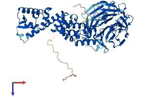 KLHL20 Protein (AA 1-604) (His tag)