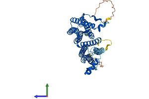 Protein Structure (PS) image for Cytochrome C Oxidase Assembly Homolog 15 (COX15) (AA 1-410) protein (His tag) (ABIN7546684)
