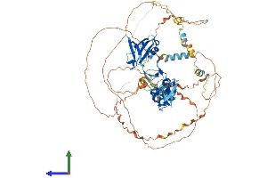 AlphaFold protein structure predicition of Human Recombinant LDB3 Protein, UniprotID O75112