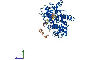 Protein Structure (PS) image for Carbohydrate Sulfotransferase 10 (CHST10) (AA 1-356) protein (His tag) (ABIN7553375)