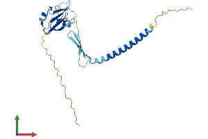 Protein Structure (PS) image for Cell Death-Inducing DFFA-Like Effector A (CIDEA) (AA 1-219) protein (His tag) (ABIN7546491)