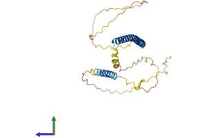 AlphaFold protein structure predicition of Human Recombinant XBP1 Protein, UniprotID P17861