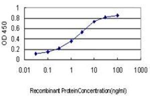 Detection limit for recombinant GST tagged CREBBP is approximately 0. (CBP 抗体  (AA 951-1050))