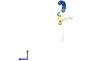 AlphaFold protein structure predicition of Human Recombinant BATF Protein, UniprotID Q16520 (BATF Protein (AA 1-125) (His tag))