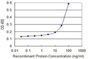 Detection limit for recombinant GST tagged SEPT6 is 3 ng/ml as a capture antibody. (Septin 6 抗体  (AA 1-434))