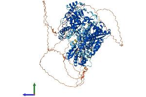 AlphaFold protein structure predicition of Mouse Recombinant Dhx9 Protein, UniprotID O70133