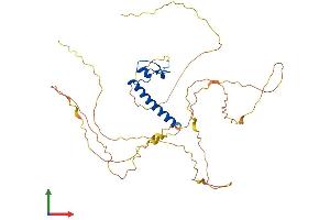 AlphaFold protein structure predicition of Mouse Recombinant Dmrt1 Protein, UniprotID Q9QZ59