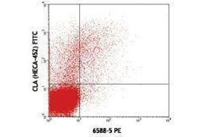 Flow Cytometry (FACS) image for anti-Chemokine (C-C Motif) Receptor 10 (CCR10) antibody (PE) (ABIN2662919) (CCR10 抗体  (PE))