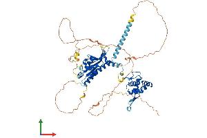 Protein Structure (PS) image for Crossover junction endonuclease EME1 (EME1) (AA 1-570) protein (His tag) (ABIN7547313)