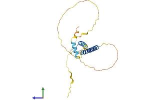 AlphaFold protein structure predicition of Human Recombinant TWIST1 Protein, UniprotID Q15672
