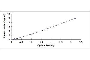 Typical standard curve (HDAC2 ELISA 试剂盒)