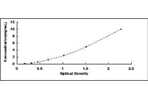 Typical standard curve (ARG2 ELISA 试剂盒)