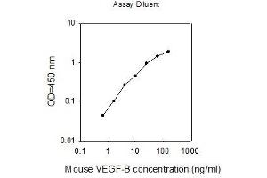 ELISA image for Vascular Endothelial Growth Factor B (VEGFB) ELISA Kit (ABIN2748742) (VEGFB ELISA 试剂盒)