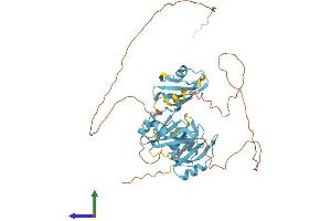 Protein Structure (PS) image for Heterogeneous Nuclear Ribonucleoprotein H1 (H) (HNRNPH1) (AA 1-449) protein (His tag) (ABIN7562376)