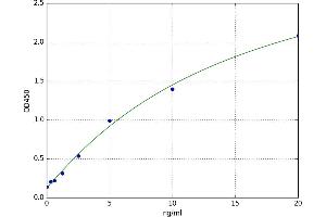 A typical standard curve (SNAP25 ELISA 试剂盒)
