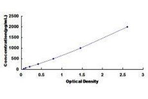 Defensin, beta 103A (DEFB103A) ELISA Kit
