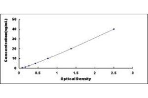 Typical standard curve (ANG ELISA 试剂盒)