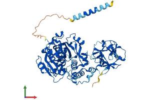Protein Structure (PS) image for Udp-N-Acetyl-alpha-D-Galactosamine:polypeptide N-Acetylgalactosaminyltransferase 1 (GalNAc-T1) (Galnt1) (AA 1-559) protein (His tag) (ABIN7562224)