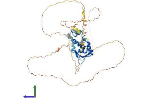 Protein Structure (PS) image for ERG, ETS transcription factor (ERG) (AA 1-486) protein (His tag) (ABIN7556748)