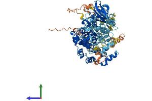 AlphaFold protein structure predicition of Mouse Recombinant Rps6ka2 Protein, UniprotID Q9WUT3