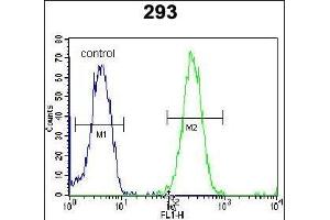 ZNF780A Antibody (N-term) (ABIN654493 and ABIN2844225) flow cytometric analysis of 293 cells (right histogram) compared to a negative control cell (left histogram). (ZNF780A 抗体  (N-Term))