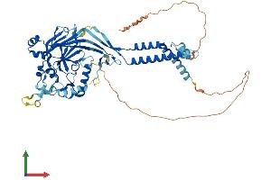 Protein Structure (PS) image for Amiloride-Sensitive Cation Channel 4, Pituitary (ACCN4) (AA 1-539) protein (His tag) (ABIN7558238)