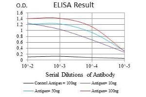 Black line: Control Antigen (100 ng), Purple line: Antigen(10 ng), Blue line: Antigen (50 ng), Red line: Antigen (100 ng), (RAF1 抗体)