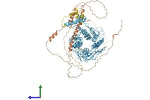 Protein Structure (PS) image for Zinc Finger Protein 41 (ZNF41) (AA 1-821) protein (His tag) (ABIN7545414)