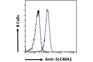 Flow Cytometry (FACS) image for anti-Solute Carrier Family 40 (Iron-Regulated Transporter), Member 1 (SLC40A1) (AA 245-259) antibody (ABIN2613478)