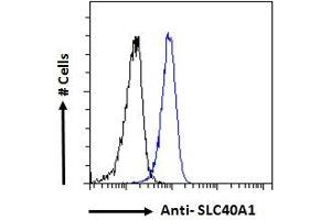 ABIN2613478 Flow cytometric analysis of paraformaldehyde fixed HeLa cells (blue line), permeabilized with 0. (SLC40A1 抗体  (AA 245-259))