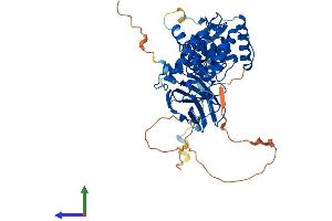 Protein Structure (PS) image for Germ Cell-Less, Spermatogenesis Associated 1 (GMCL1) (AA 1-524) protein (His tag) (ABIN7560175)