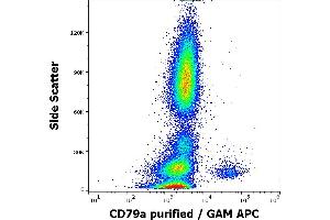 Flow cytometry intracellular staining pattern of human peripheral whole blood stained using anti-human CD79a (HM47) purified antibody (concentration in sample 4 μg/mL, GAM APC). (CD79a 抗体  (AA 208-222))