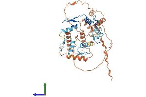 Protein Structure (PS) image for Zinc Finger Protein 200 (ZNF200) (AA 1-395) protein (His tag) (ABIN7545309)