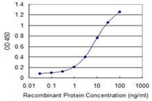 Detection limit for recombinant GST tagged FOXJ2 is 0. (Forkhead Box J2 抗体  (AA 475-574))